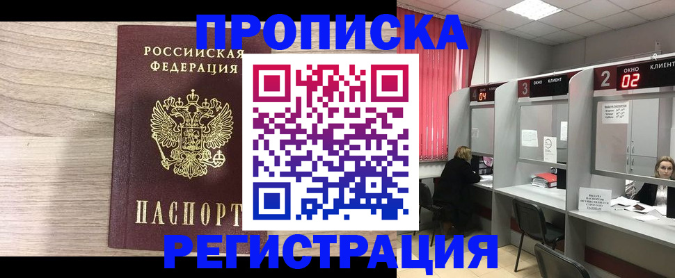 где прописаться в Коле